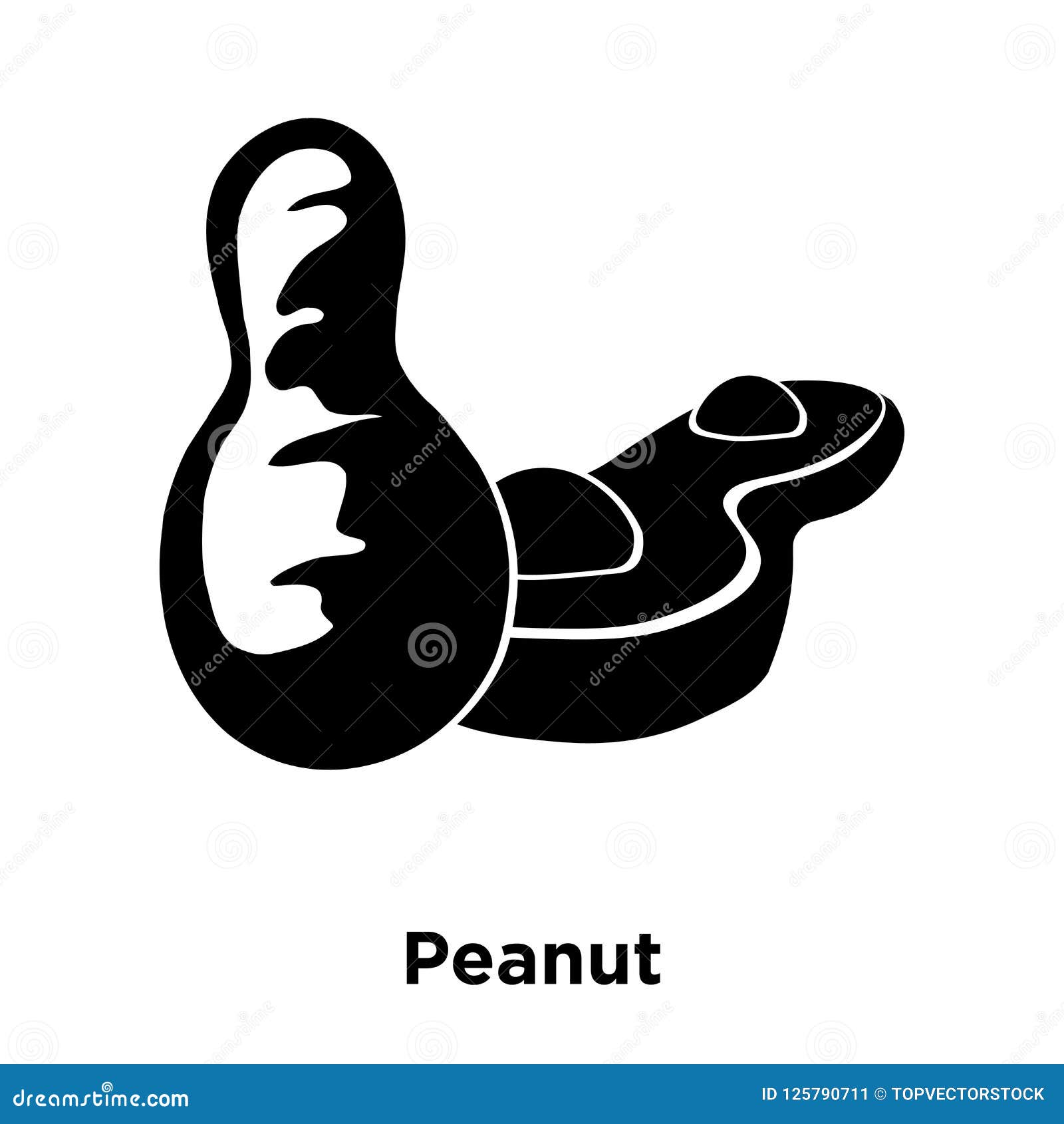 Peanut Icon Vector Isolated on White Background, Logo Concept of Stock