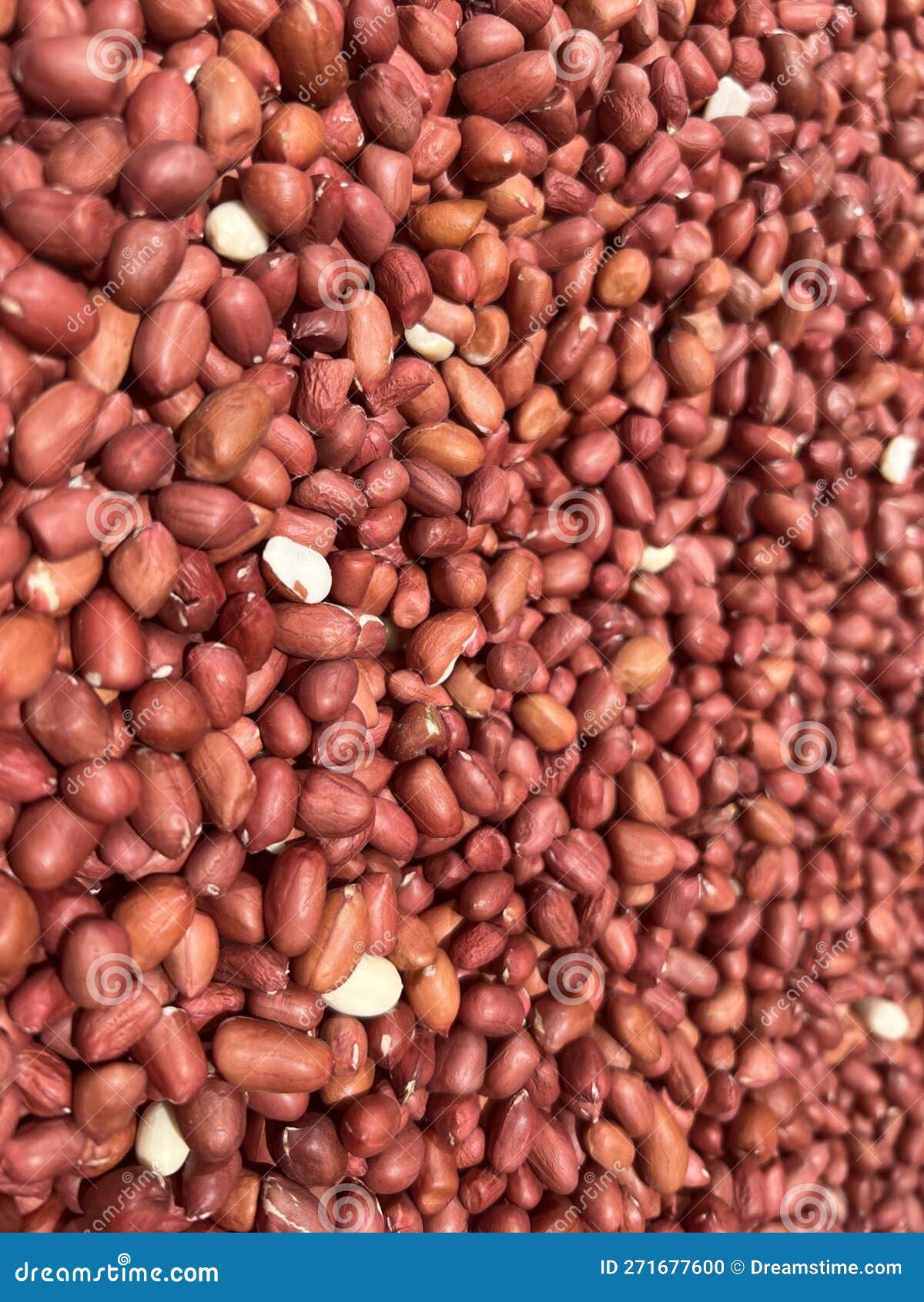 Peanut kernels stock photo. Image of plant, vegetable 271677600