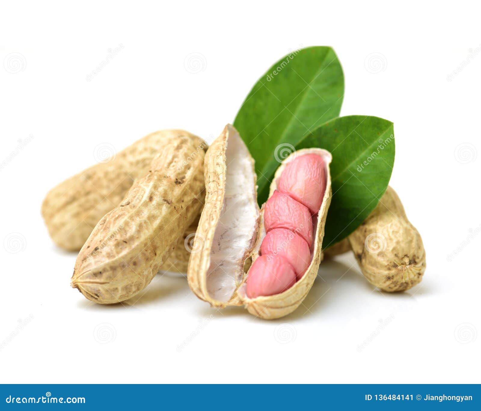 Peanut and leaves stock image. Image of shell, background 136484141