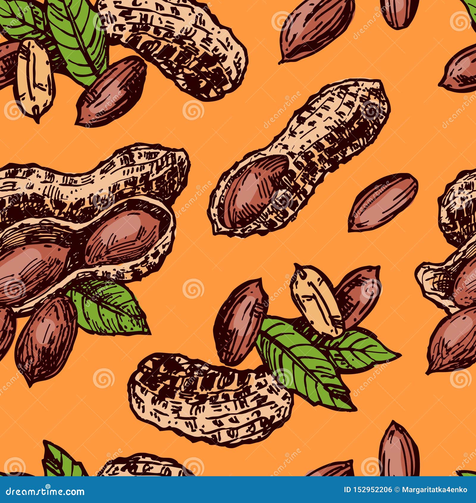 Nuts Legume Beans Vector  Photo Free Trial  Bigstock