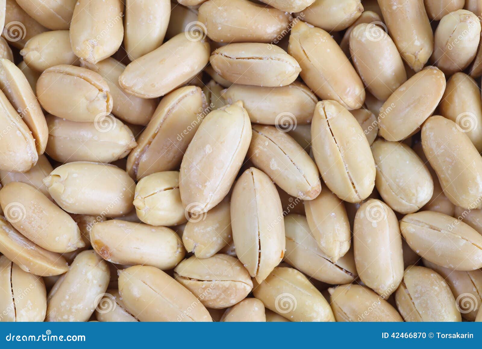 Peanuts stock photo. Image of closeup, groundnut, nutritional 42466870