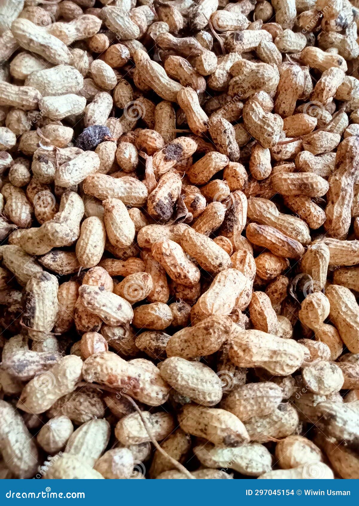 Peanuts that Have Just Been Separated from the Stems Stock Photo