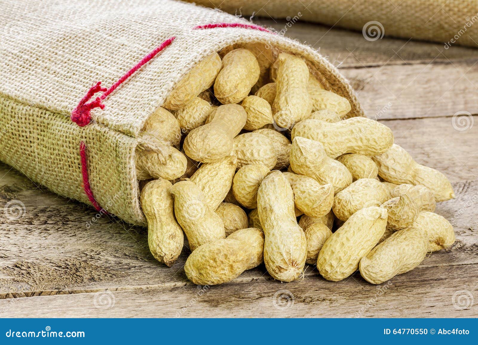 Peanuts in Shell on Jute Fabric Bag Stock Photo Image of healthy