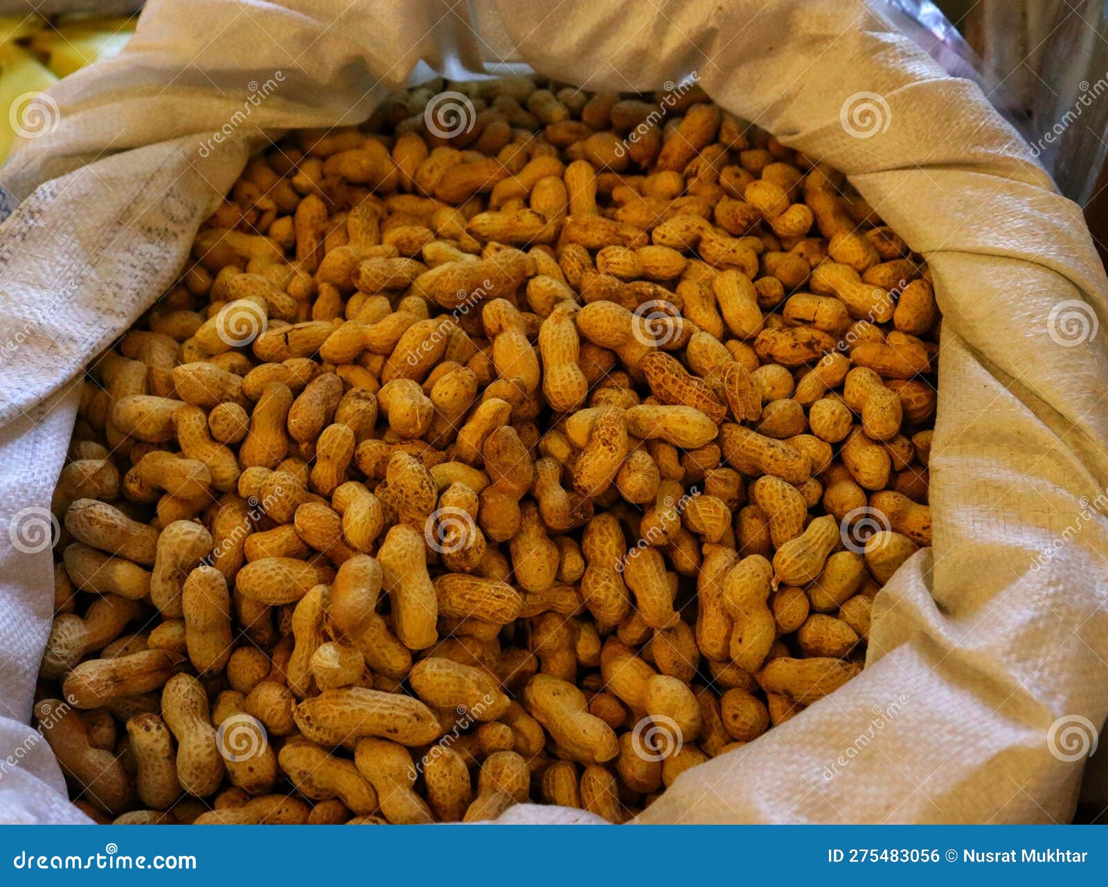 Peanuts (in Shell) Pastel Nutrition Stock Photo Image of nutrition