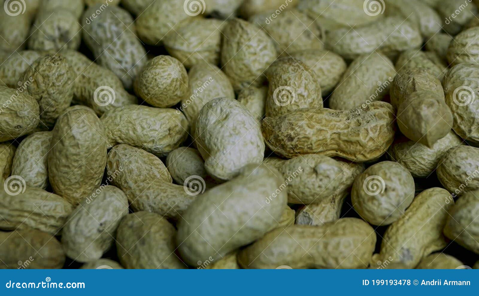 Peanuts in the Skin in Closeup, Peanut Legume Sliding Stock Footage
