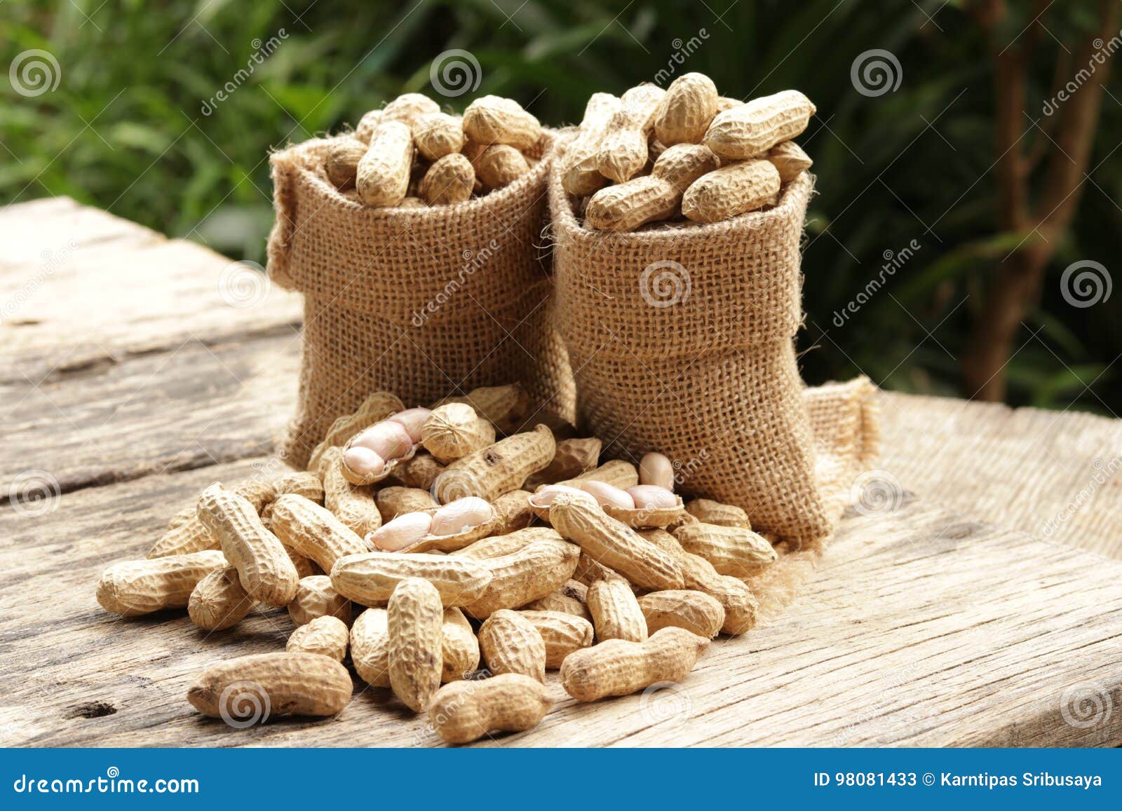 Peanuts in Shells on Sack Bags Stock Image Image of health, dinning