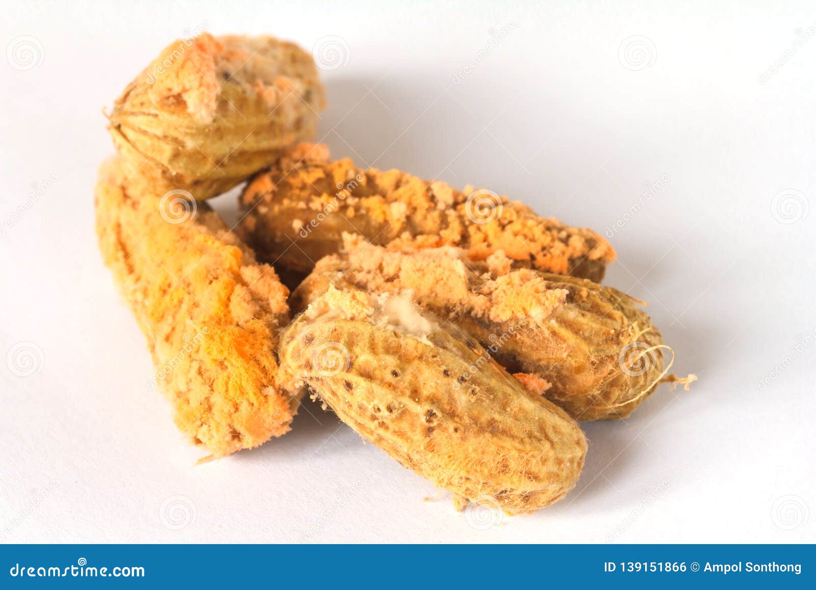 Peanuts Vegetables with Mold Growing. Stock Photo Image of illness