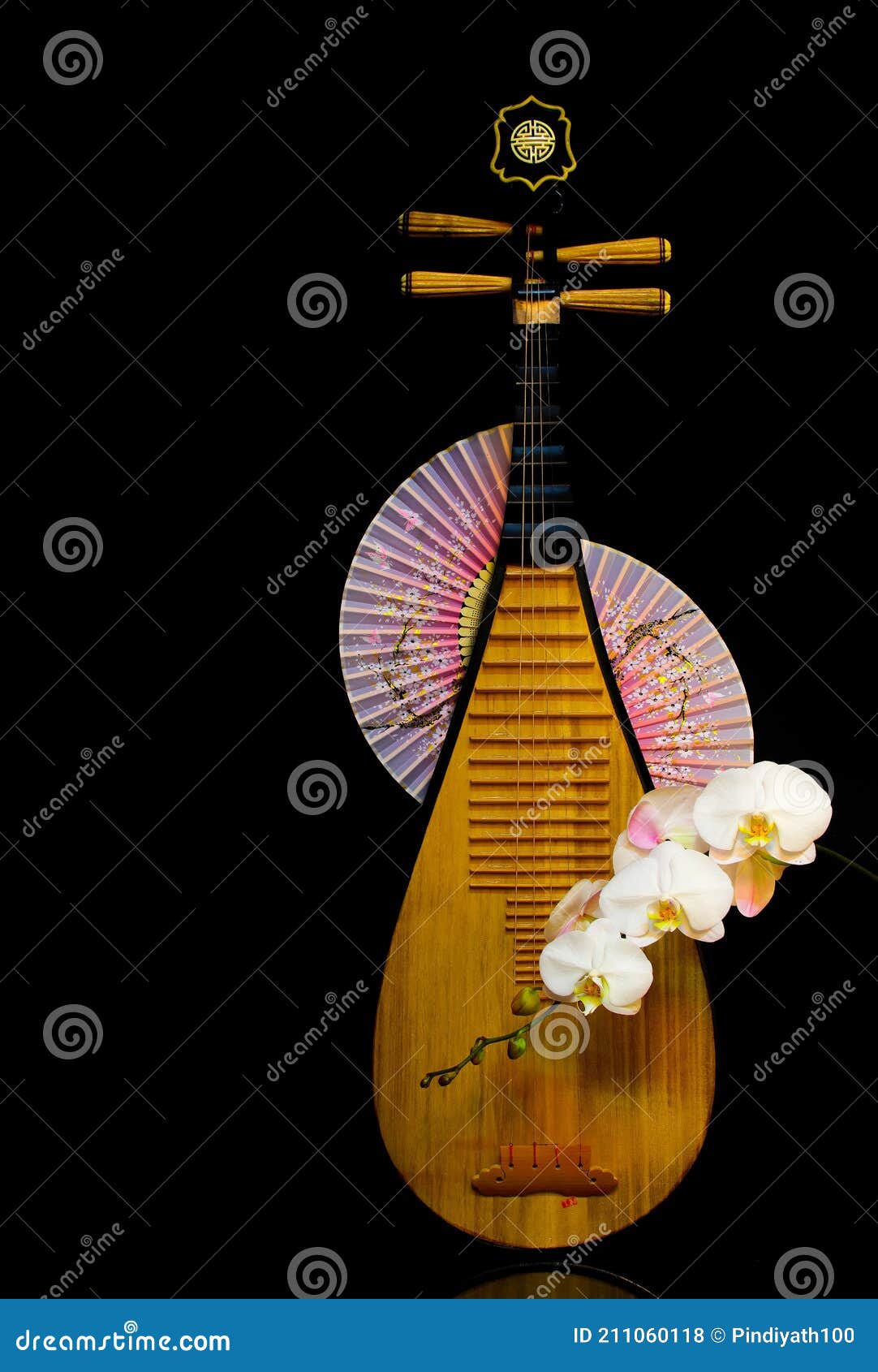 chinese traditional musical instrument, pipa with white orchids on dark background