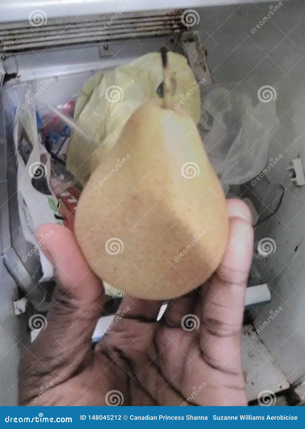 The pear tree goods stock photo. Image of goods, tree 148045212