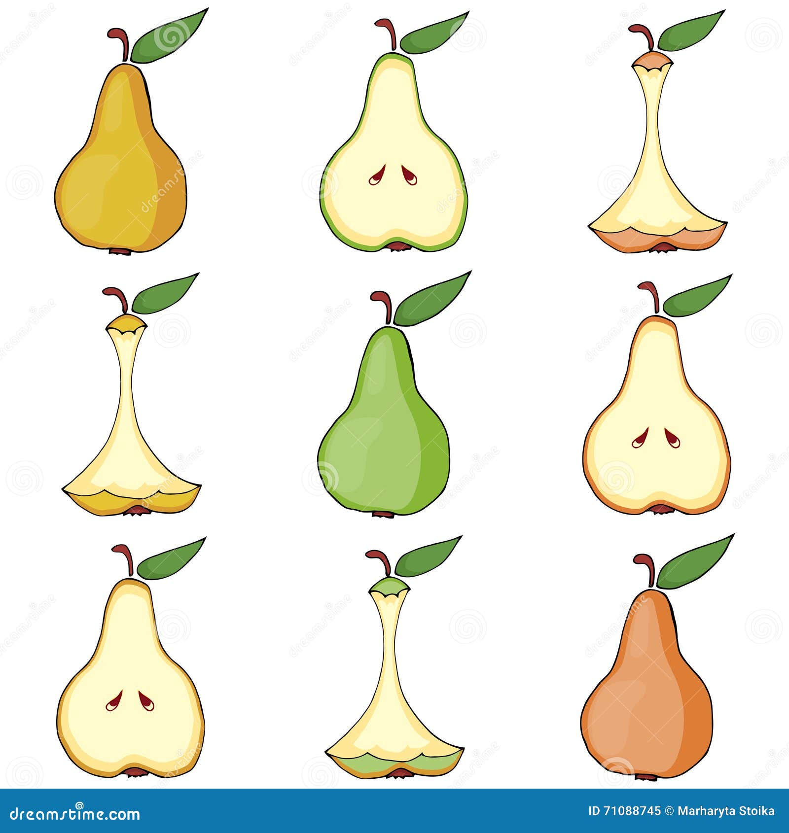 Pear Whole, Pear Core, Pear Half. Stock Vector Illustration of