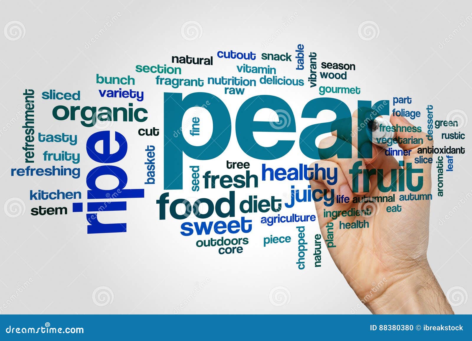 Pear Word Cloud Stock Photos Free & RoyaltyFree Stock Photos from