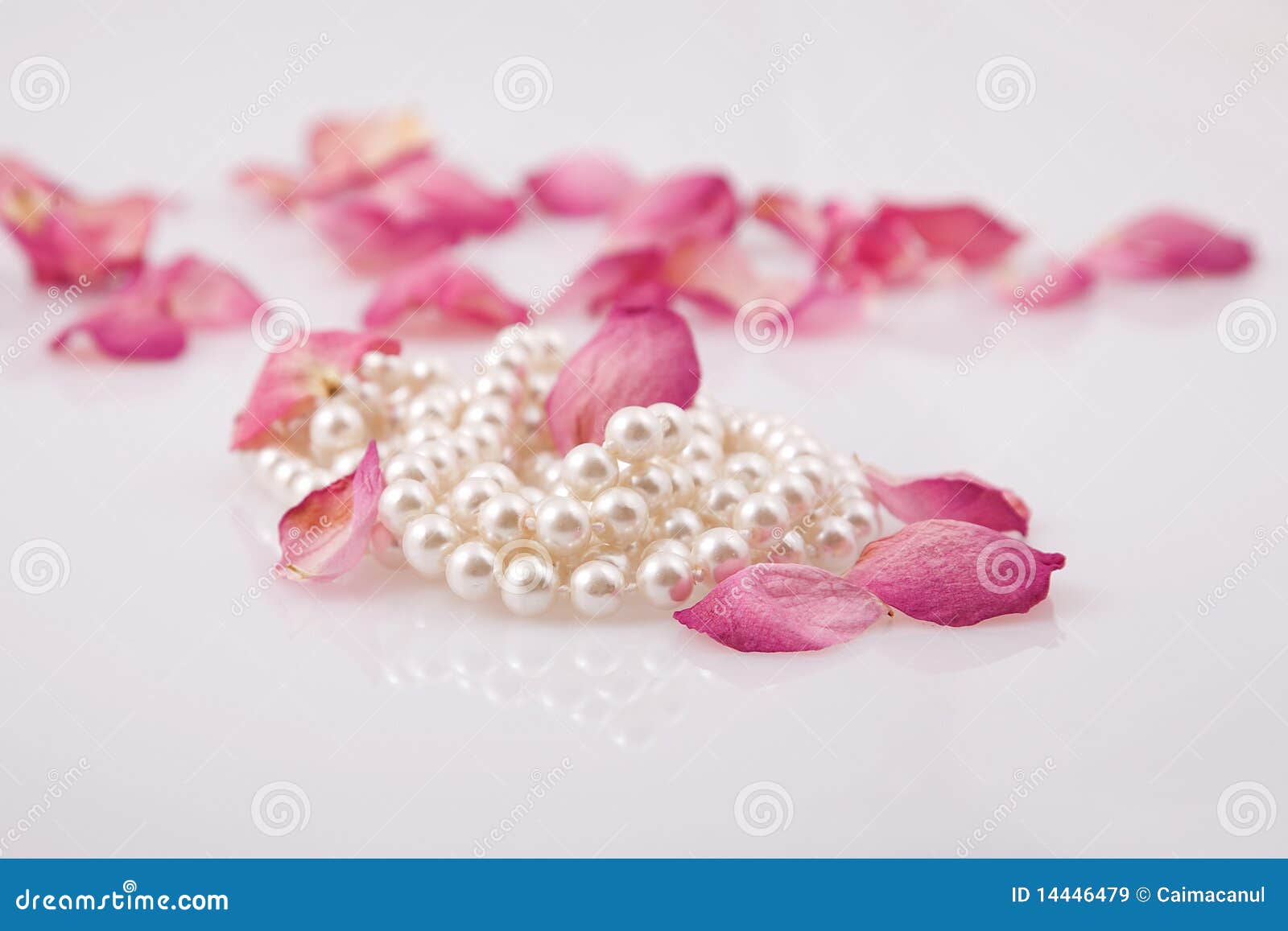 Pearl Beads And Red Roses Petals Stock Image Image 14446479