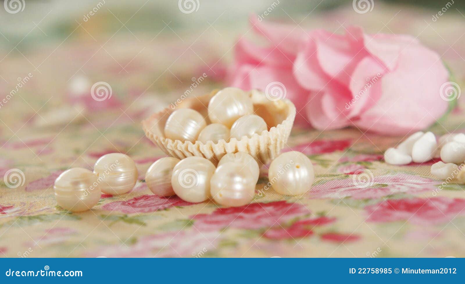 Pearl and flower stock image. Image of happy, jewelry 22758985