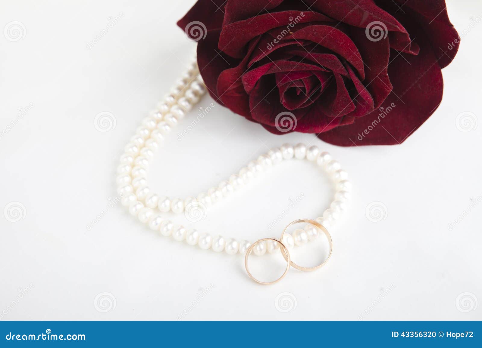 Pearl Heart, a Rose and Wedding Rings Stock Photo Image of flowers