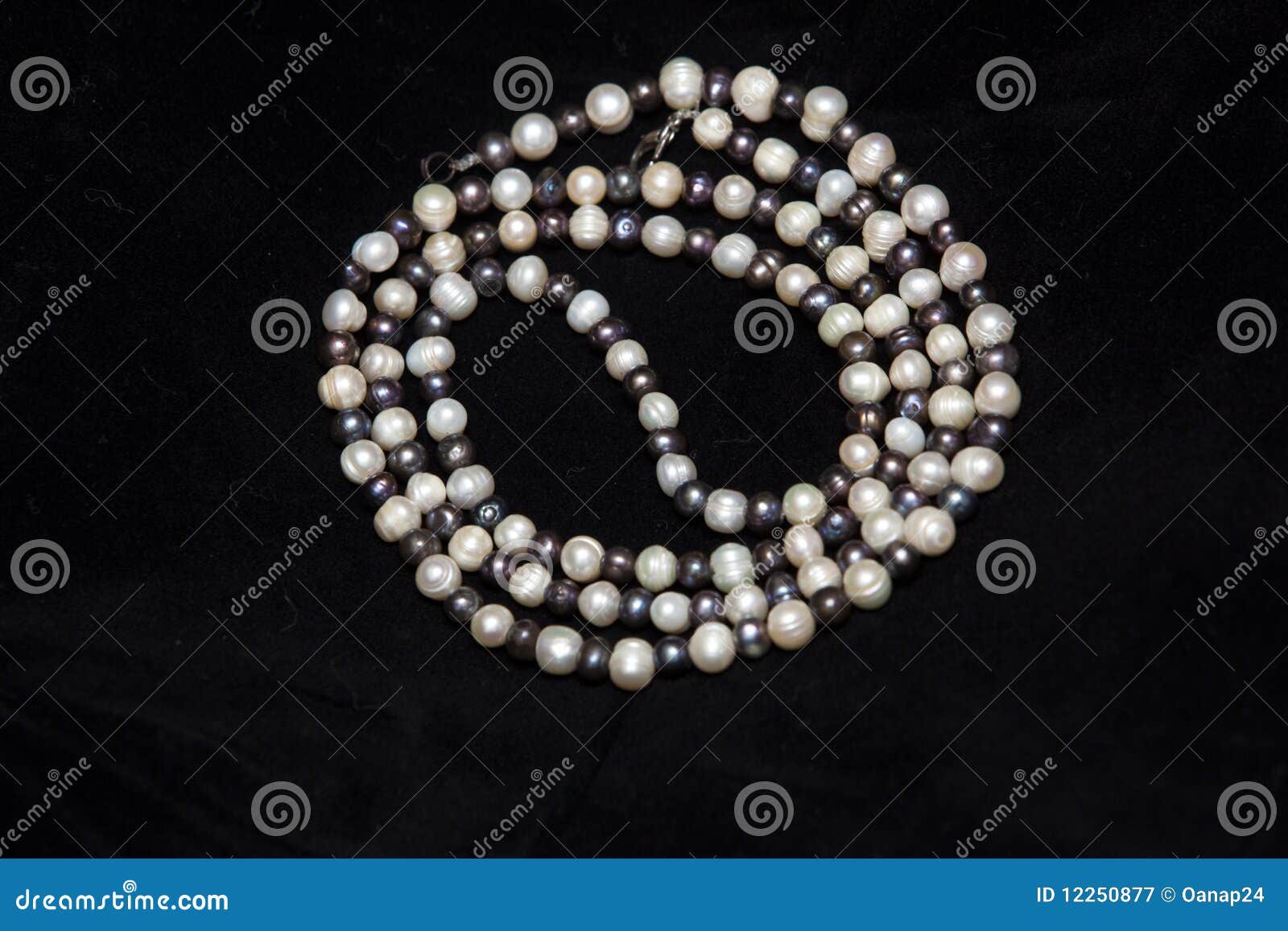 Pearl Necklace Isolated on Black Background Stock Image Image of