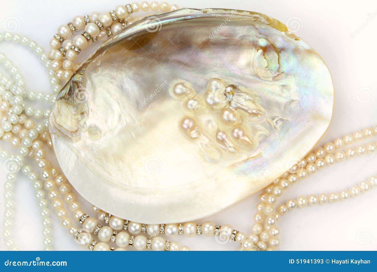 pearl necklace with natural pearls in a oyster shell