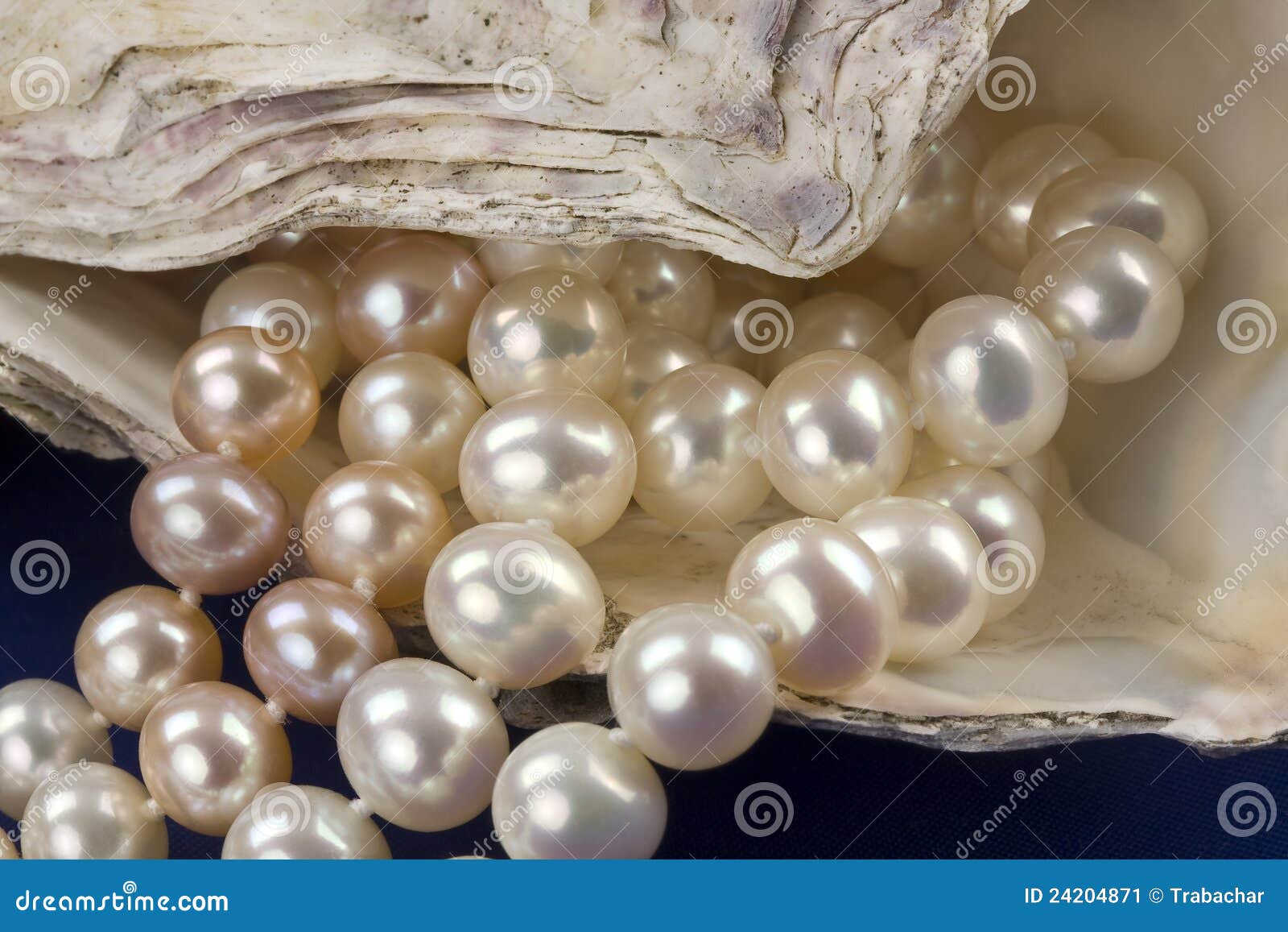 587 Fake Pearl Stock Photos - Free & Royalty-Free Stock Photos from  Dreamstime