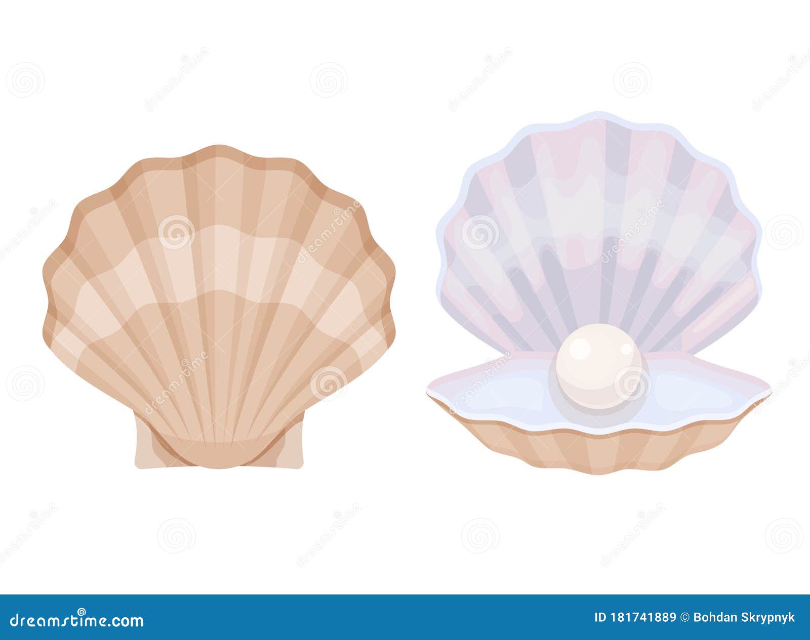Open Oyster Shell Vector Illustration On White Background open-oyster-shell-vector-illustration-on-white-background