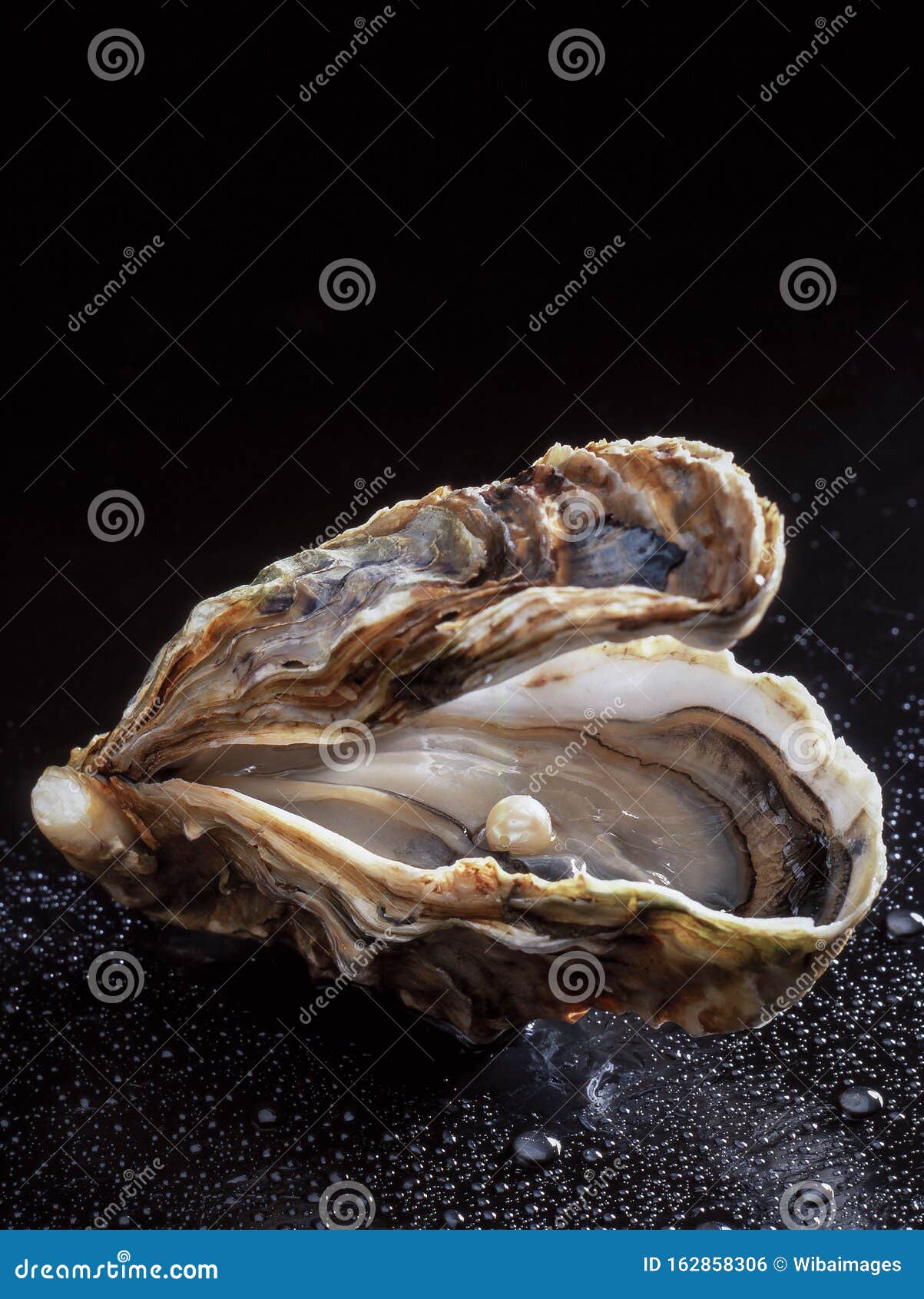 Pearl oyster stock photo. Image of natural, purity, valuable 162858306