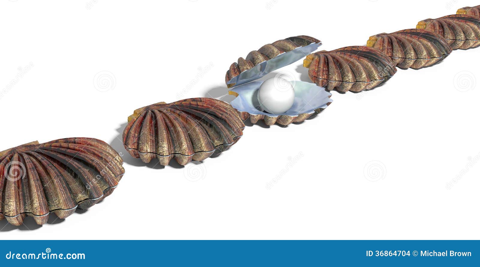 Pearl in Oyster Shell Row of Shells Stock Illustration - Illustration of  fortune, wealth: 36864704