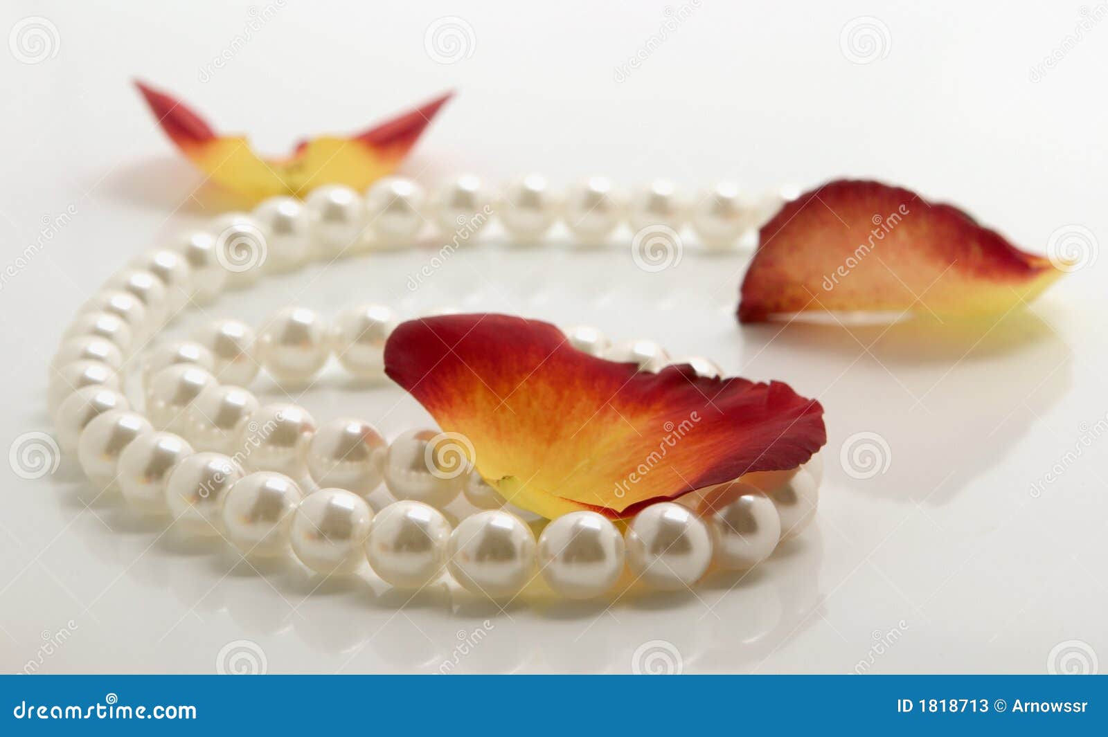 Pearl and petals stock image. Image of design, pearls 1818713
