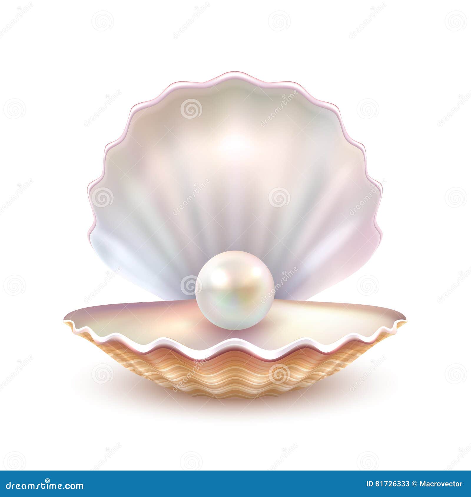 pearl shell realistic close up image