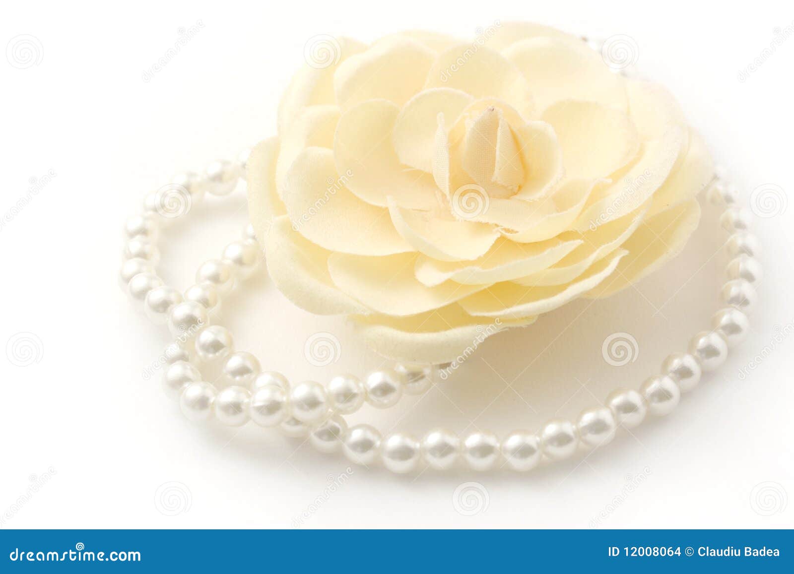 Pearls and flower stock photo. Image of flower, bridal 12008064