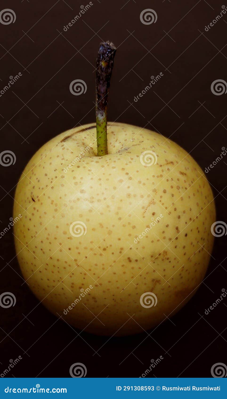 Pears or Pyrus Contain Many Vitamins Stock Image Image of fruit