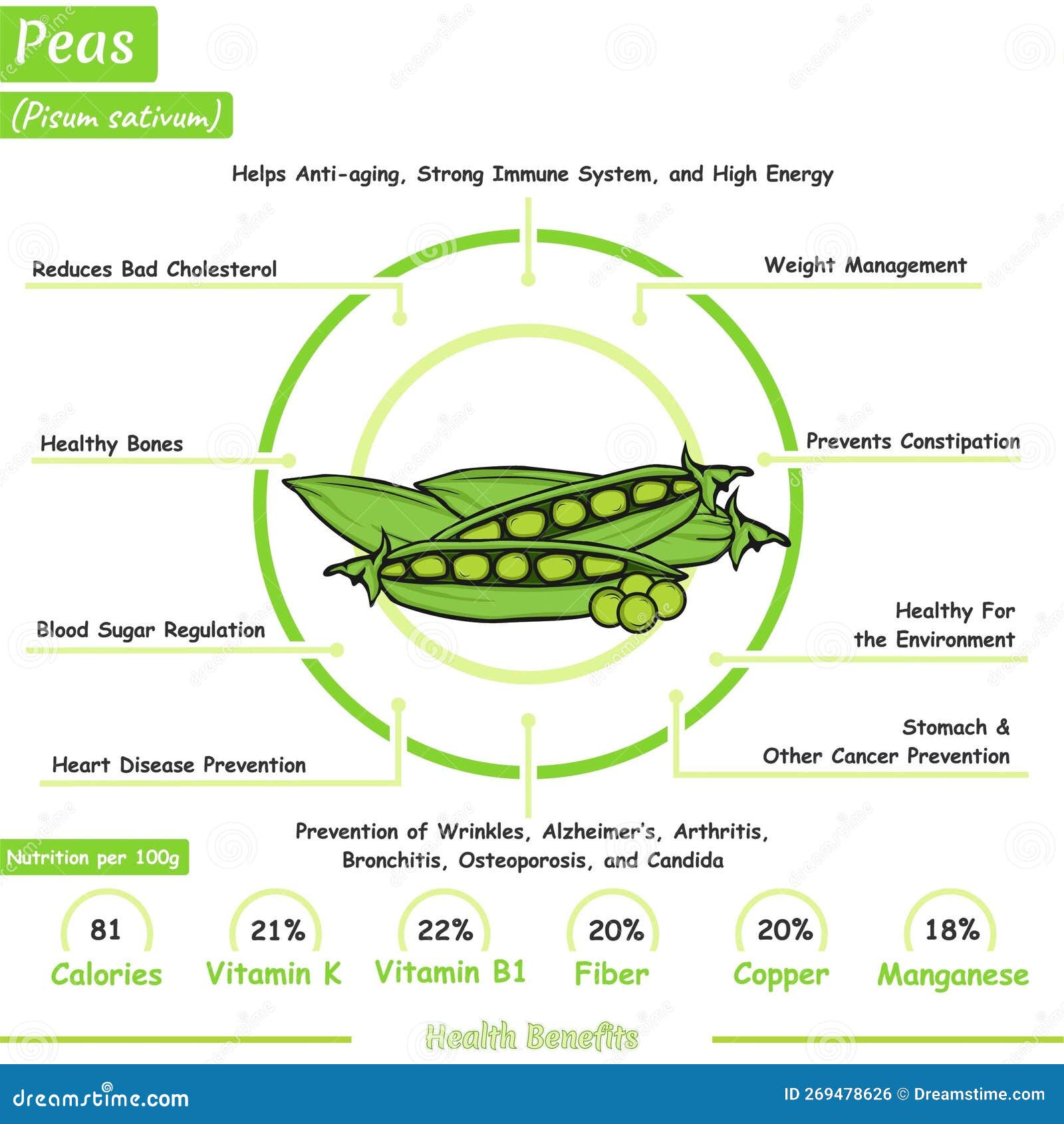 Health benefits of a peas stock vector. Illustration of concept - 269478626