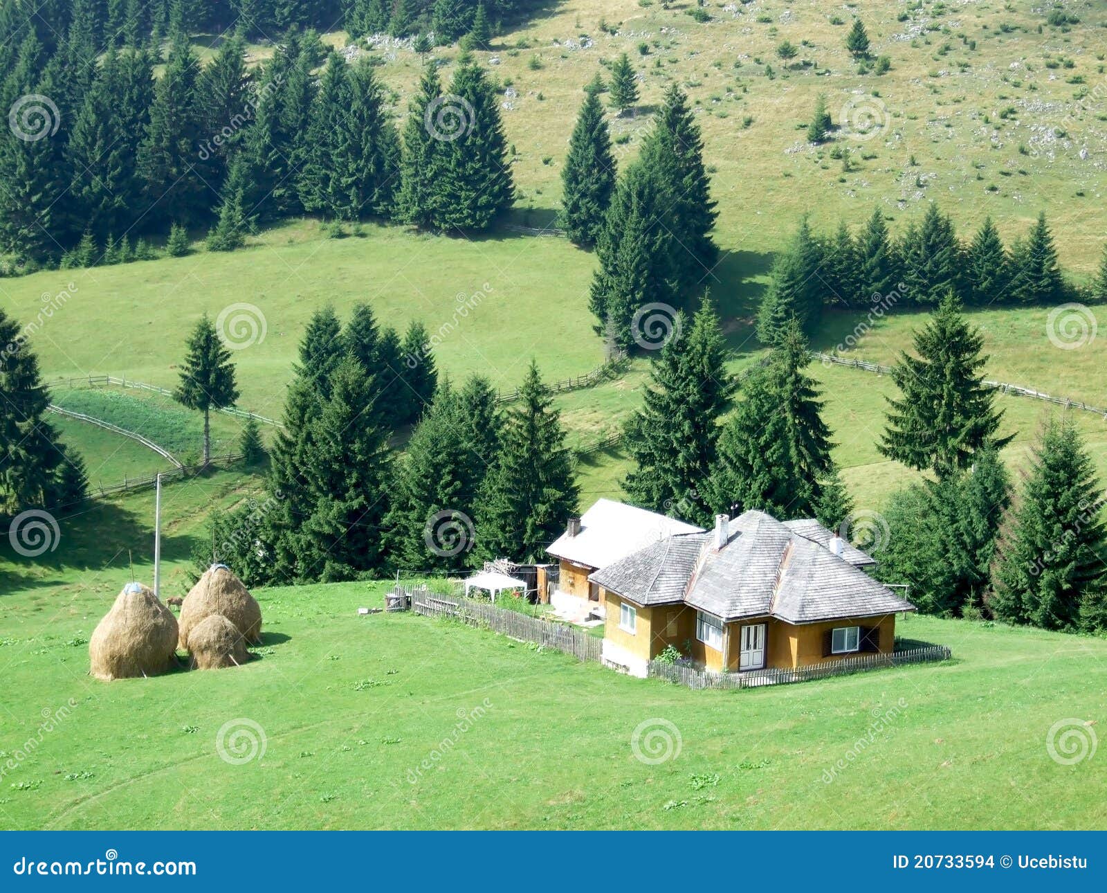Peasant house stock photo. Image of pine, brasov, tree 20733594