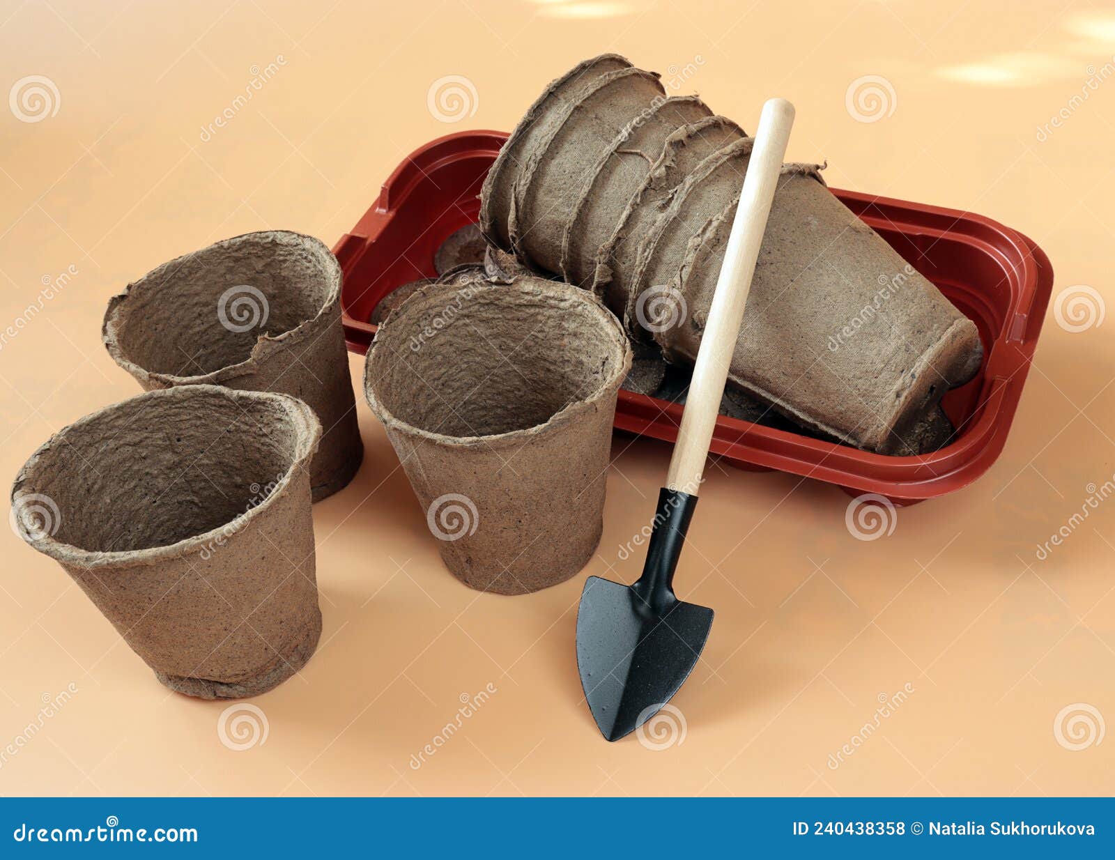 Peat Cups for Seedlings in a Plastic Container and a Spatula for Young