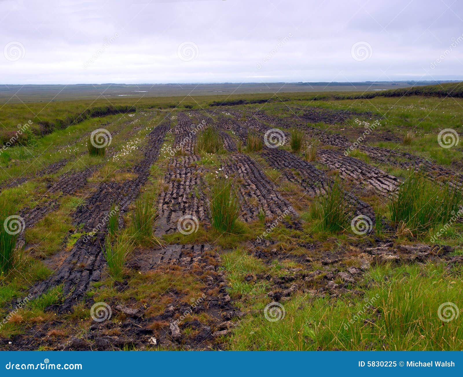 Peat Harvesting stock image. Image of color, landscape 5830225