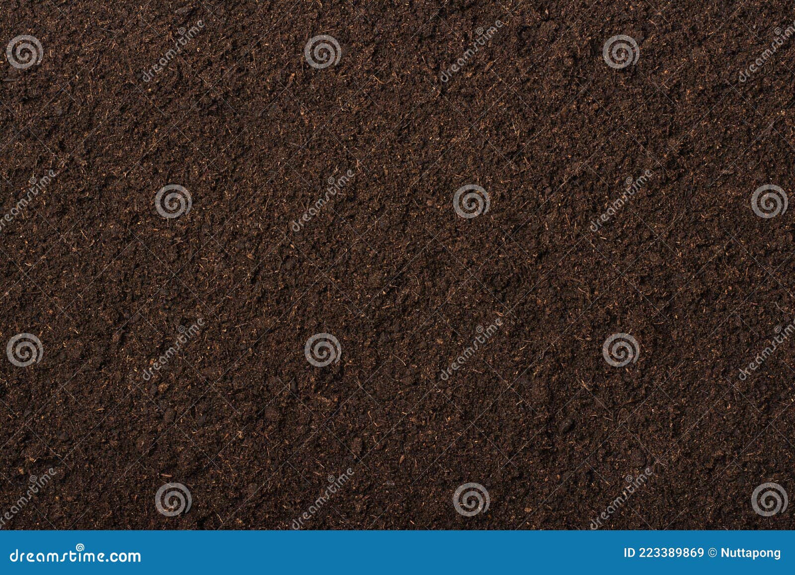 peat moss soil background texture.