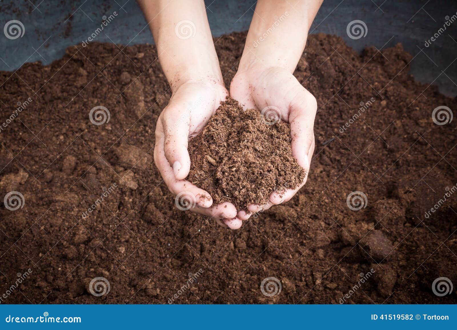 peat moss soil on hand woman
