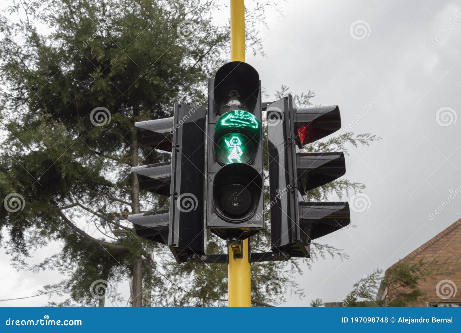 peatonal green traffic light on with a tree and grey cloud