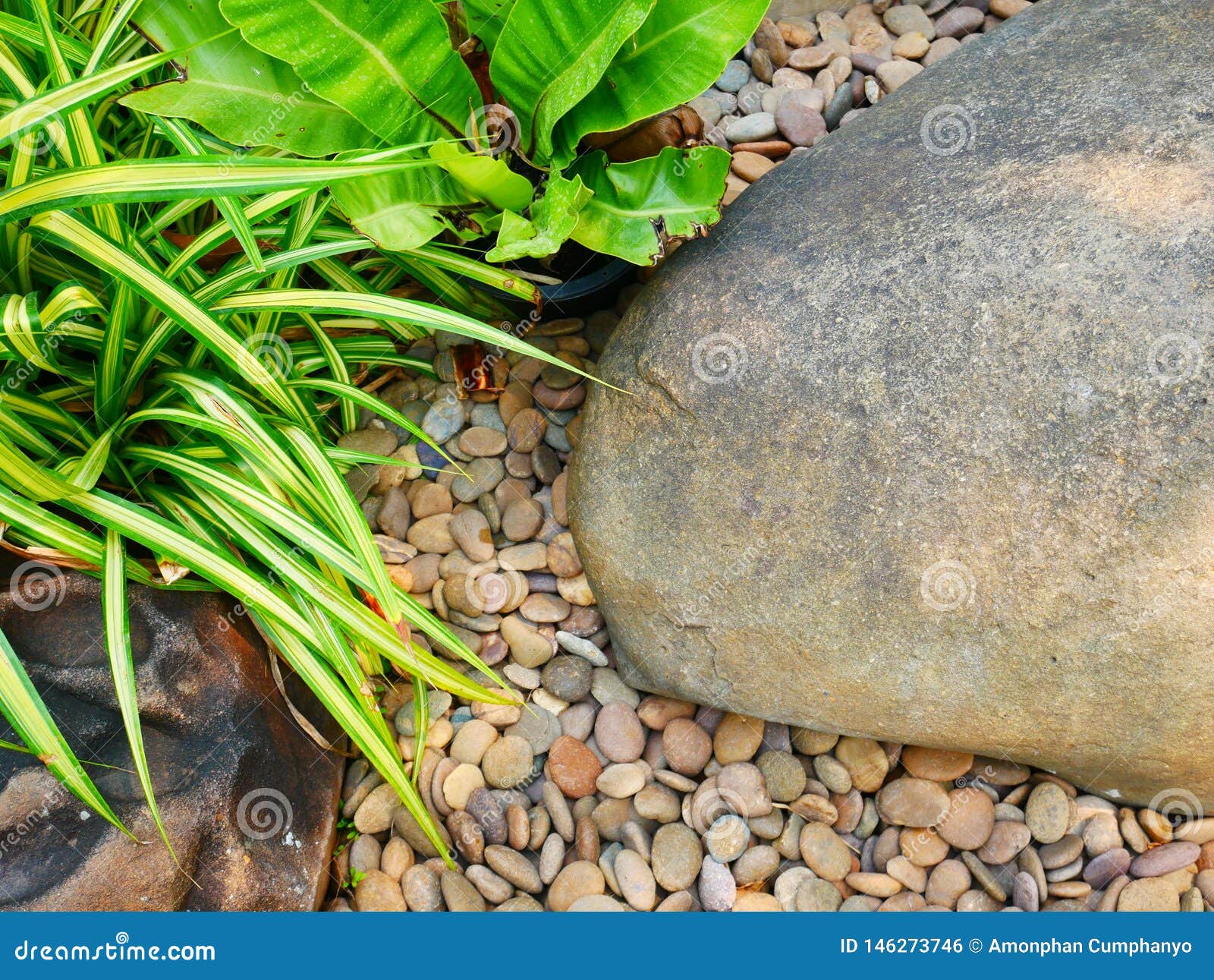 Pebble Stone Background Aroma Stone In Nature Garden Stock Photo