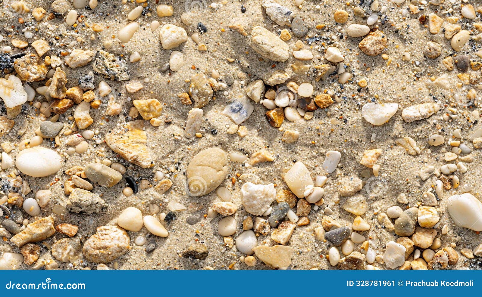 pebble-strewn sands: a close-up beach texture