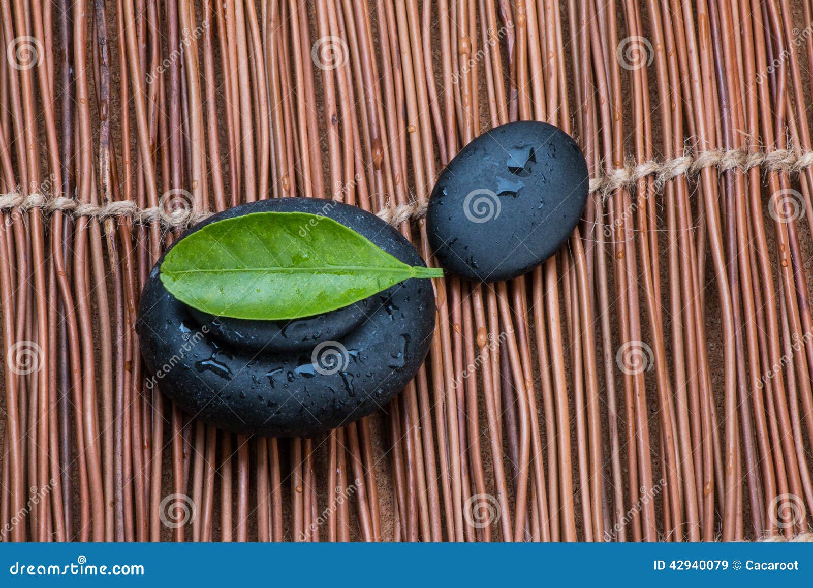 Pebbles and green leaf stock image. Image of sprout, relax 42940079