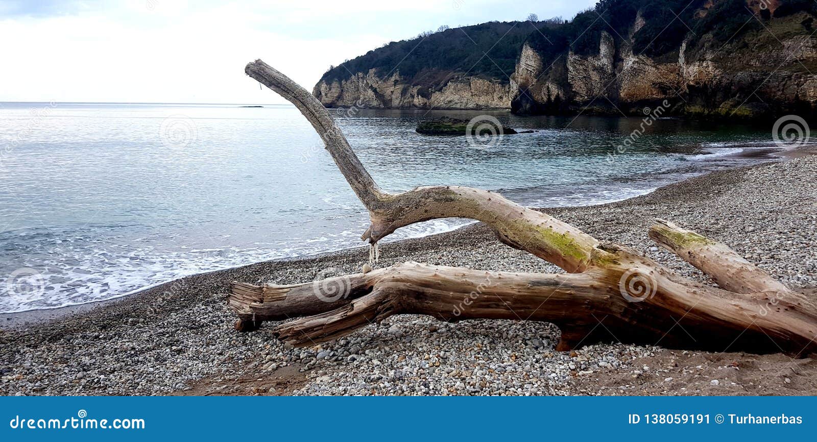 Pebbles among the Sand on Seashore Stock Image - Image of rocky, close