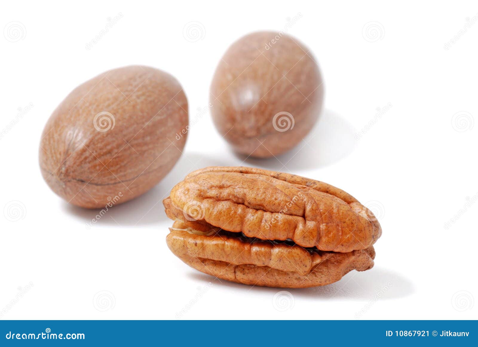 Pecan nut stock image. Image of brown, macro, antioxidants 10867921