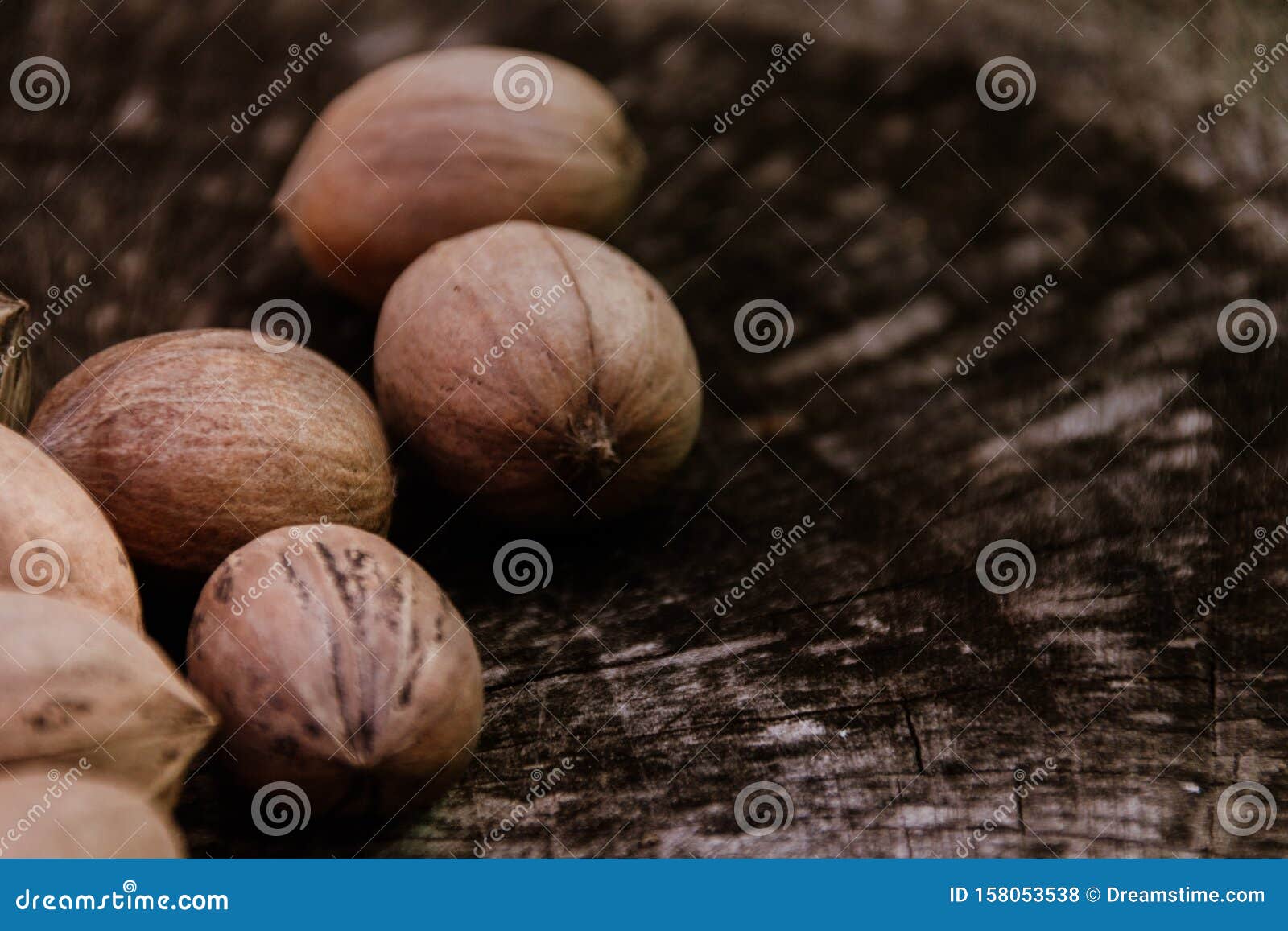 Pecan Nut on Wooden Log stock photo. Image of pecan 158053538