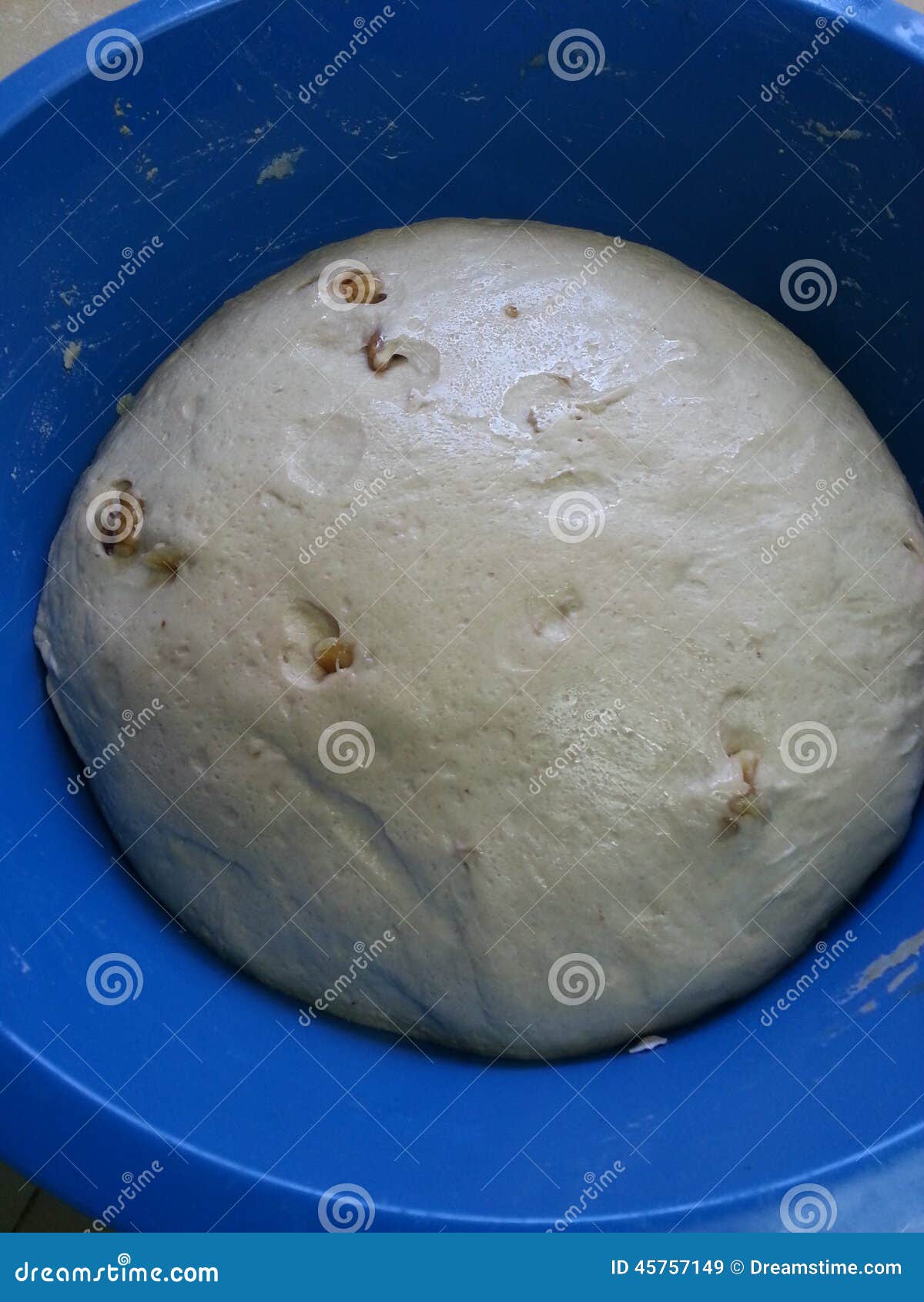 Hand made pecan sourdough bread