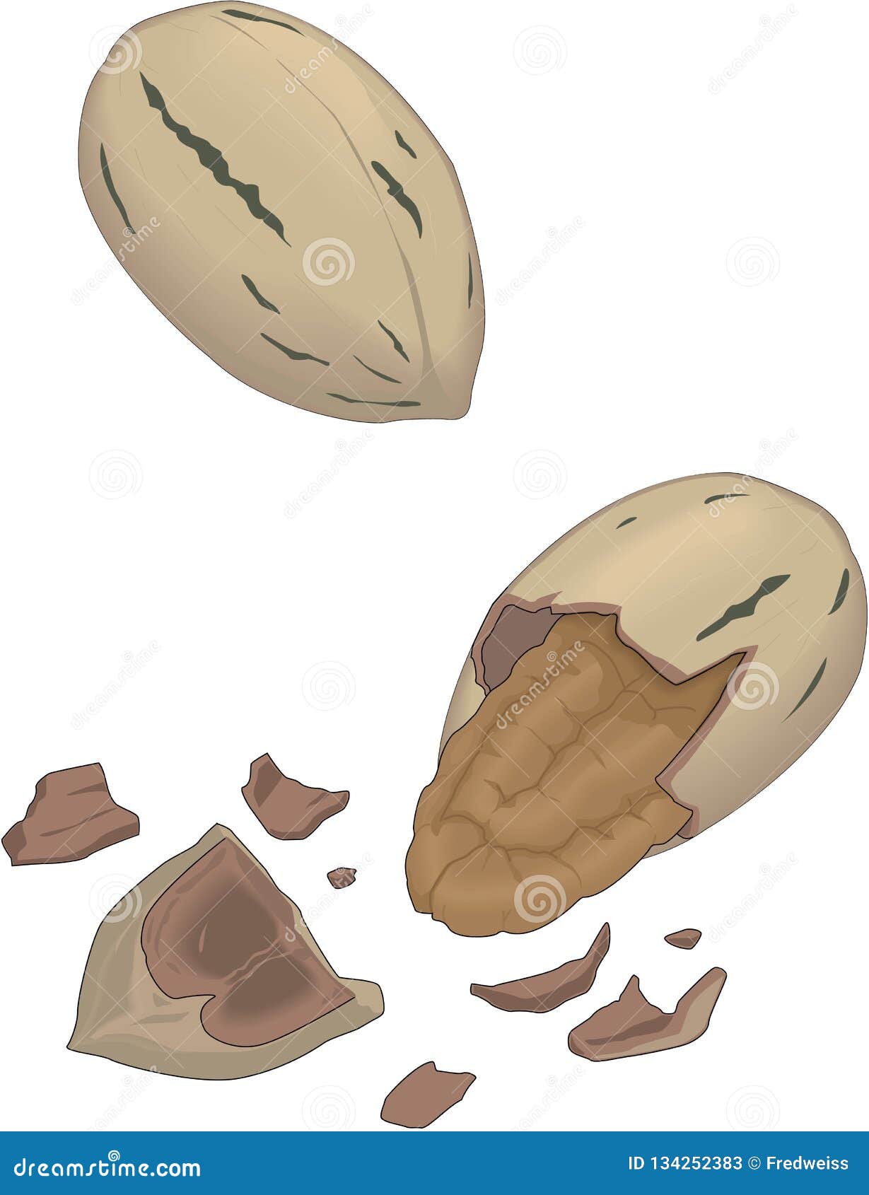 Pecans Cartoons, Illustrations & Vector Stock Images 540 Pictures to