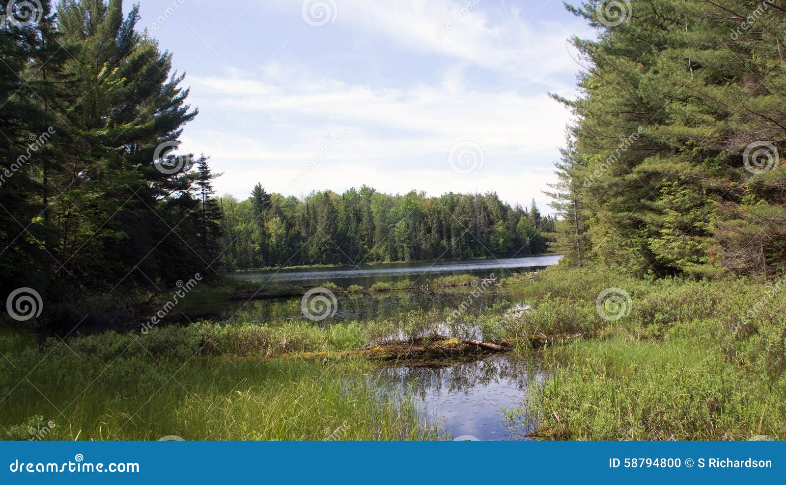 peck lake, algonquin provincial park 5