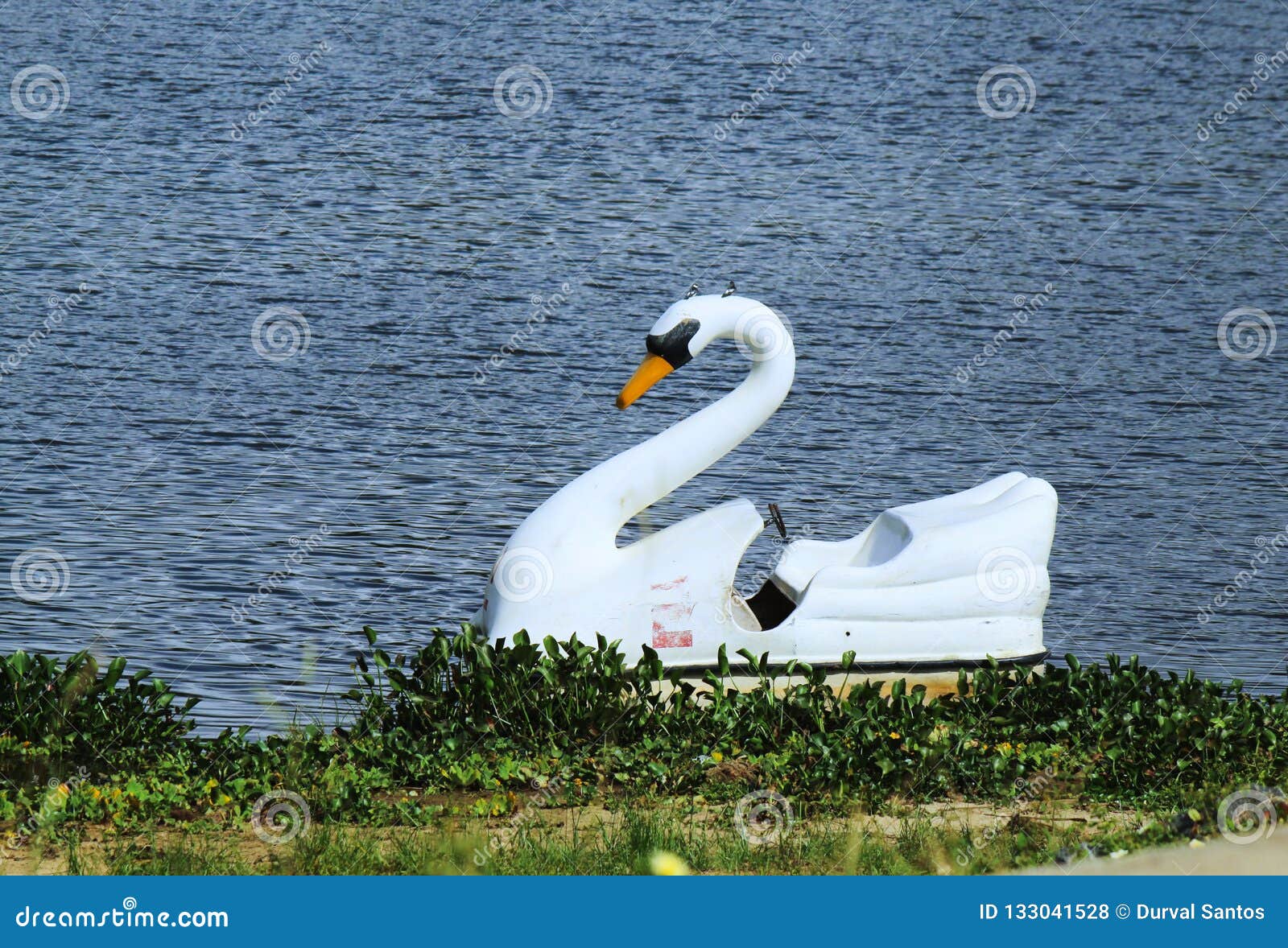 A Pedal Boat for a Stroll in the Lagoon Stock Photo Image of moved