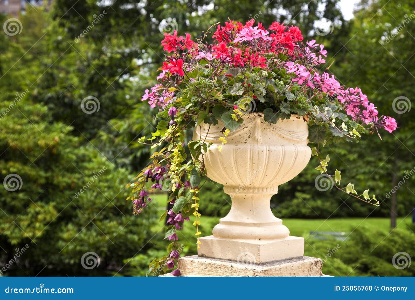 Pedestal Garden Planters stock photo. Image of blossom 25056760