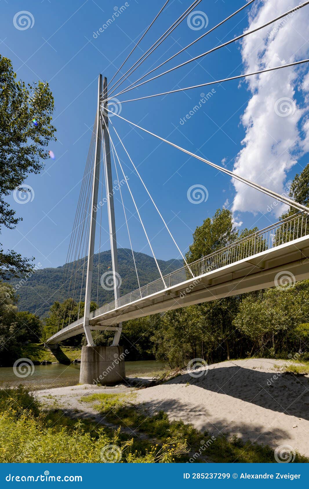 pedestrian bridge in the middle of the forest, beautiful architecture and a great engineering study