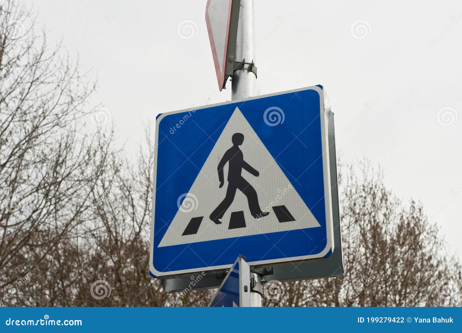Traffic Rules, Designation of a Pedestrian Crossing. Stock Photo
