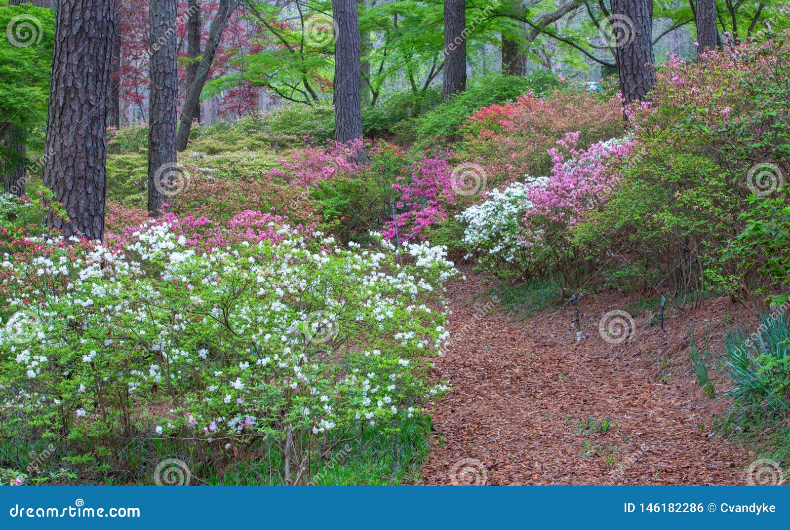 Footpath Callaway Gardens Pine Mountain Georgia Stock Photo