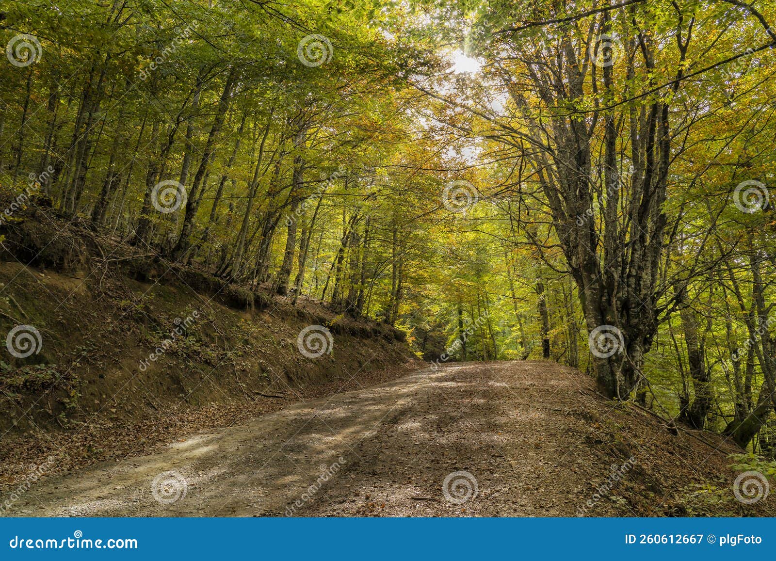 pedestrian route from soto de sajambre to the vegabano mountain refuge in the picos de europa national park in spain with lens